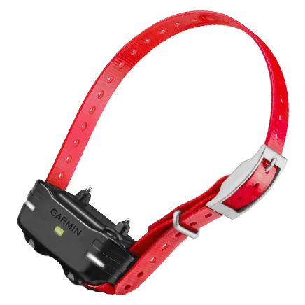 TopAdvisor