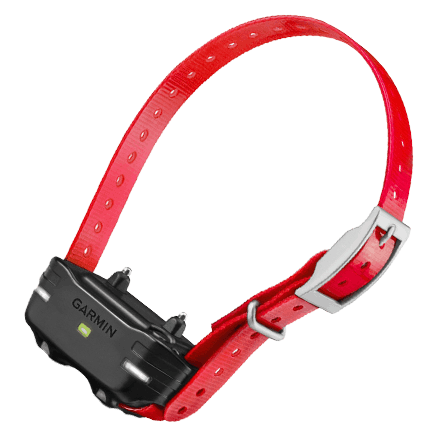 TopAdvisor