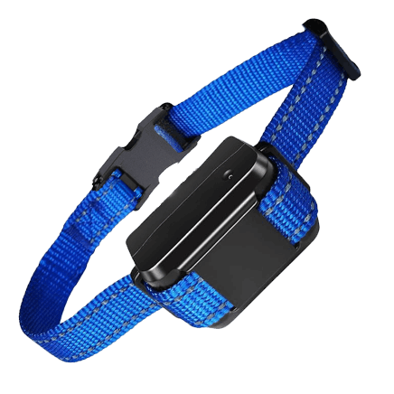 TopAdvisor